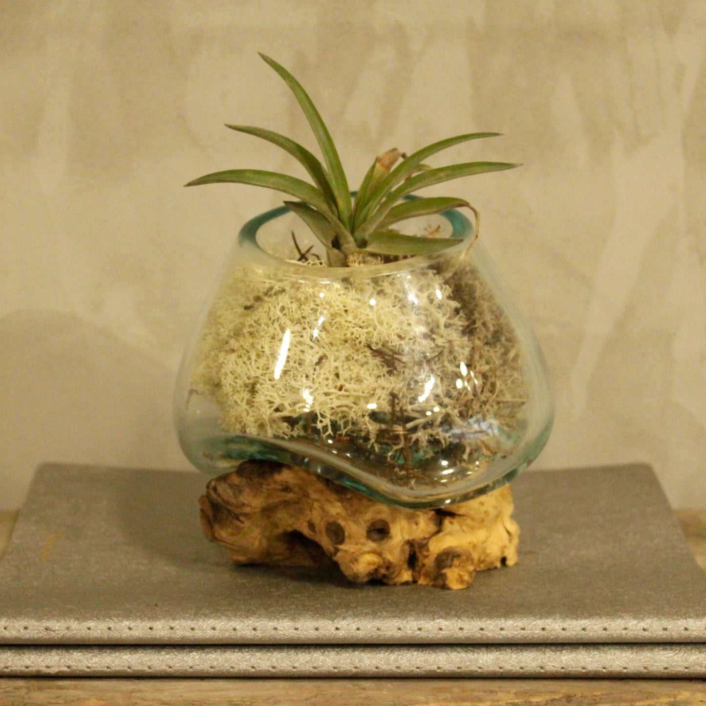 Handgemaakte Gerecycled glas vaas/kom op whitewash Hout – Uniek Interieurstuk